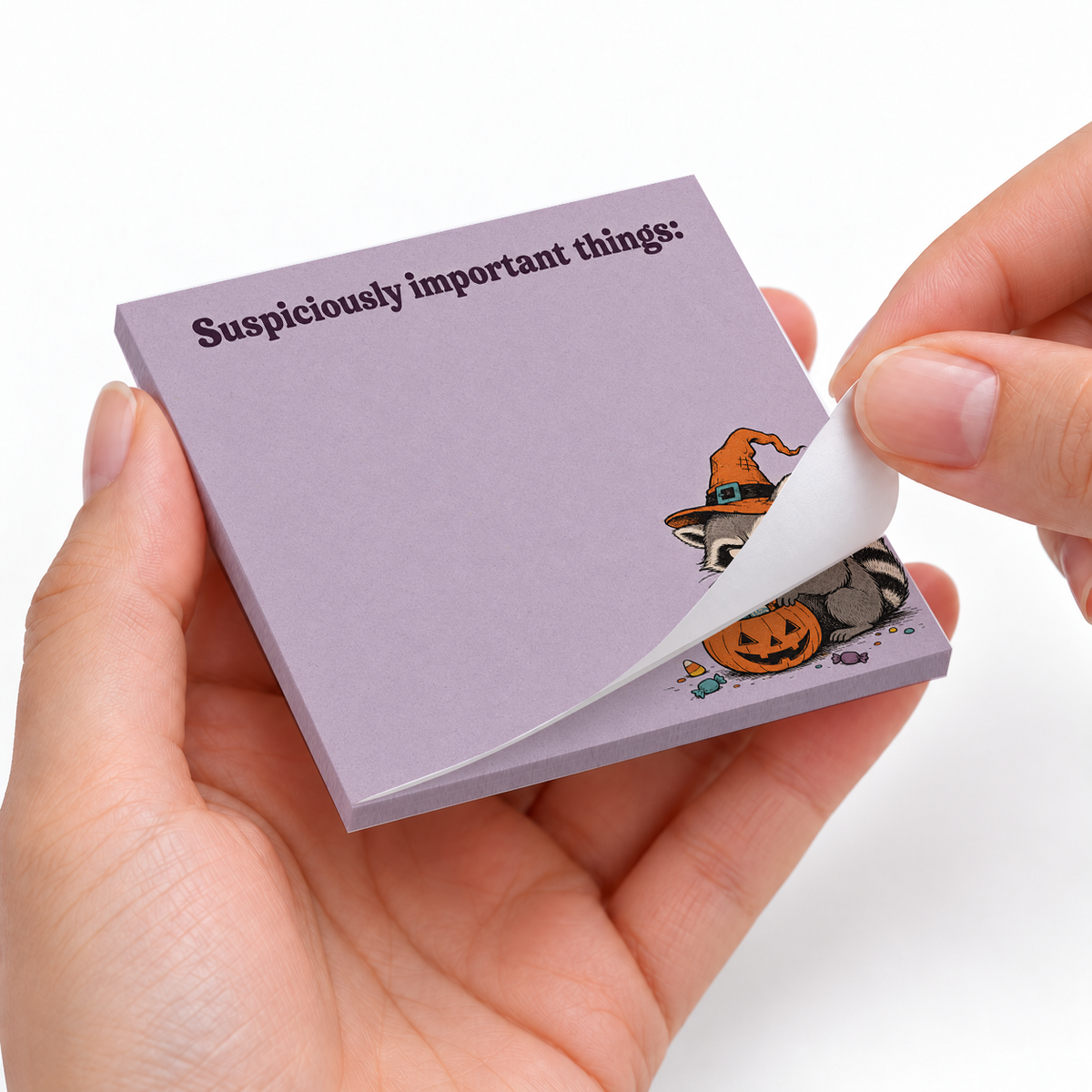 Suspiciously Important Raccoon sticky notes styled with a planner and desk accessories