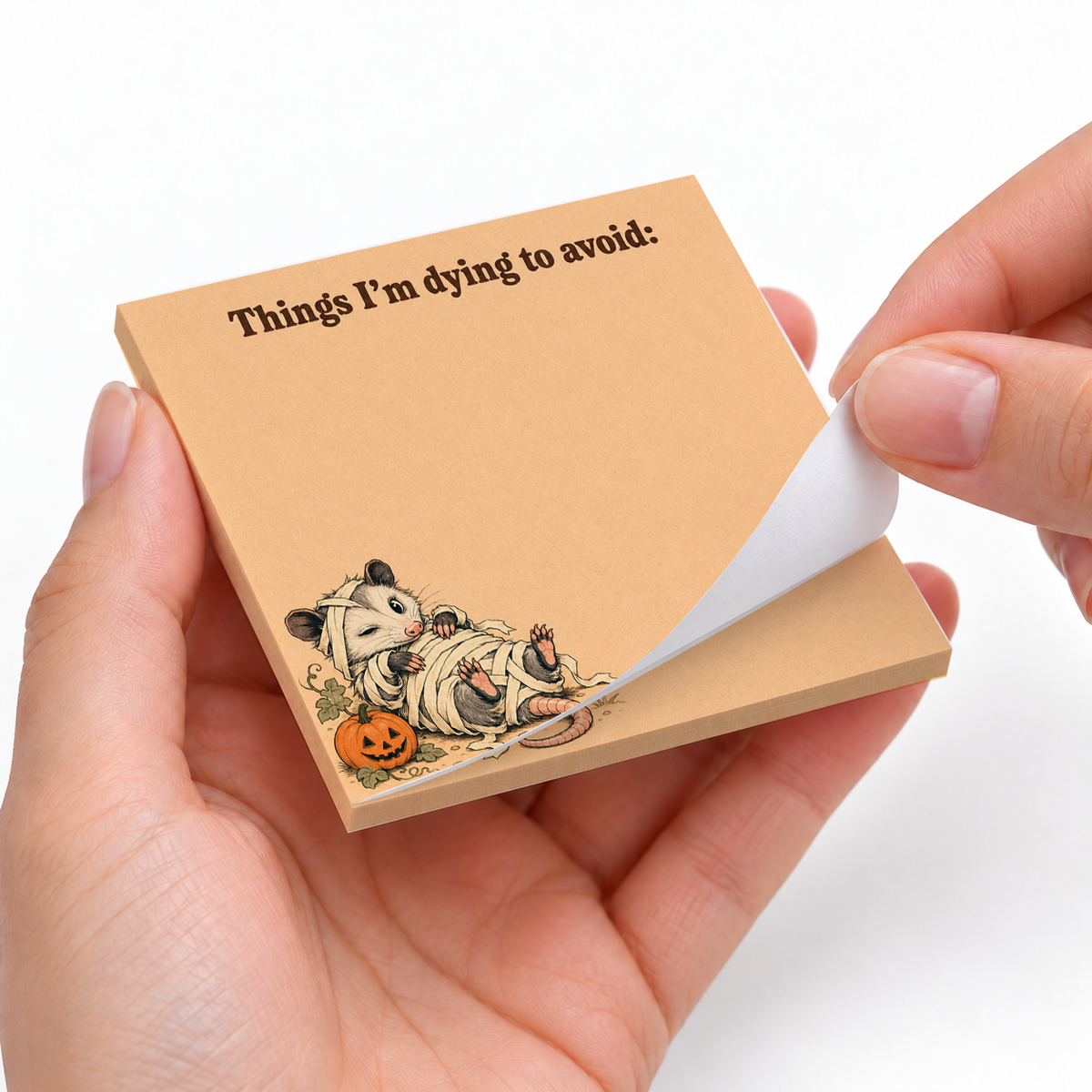 Things I'm Dying To Avoid Opossum sticky notes styled with a planner and desk accessories